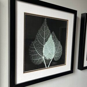 COPY - Leaf print in frame -home decor picture
